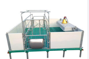 母豬產(chǎn)床的分類(lèi)與尺寸詳解