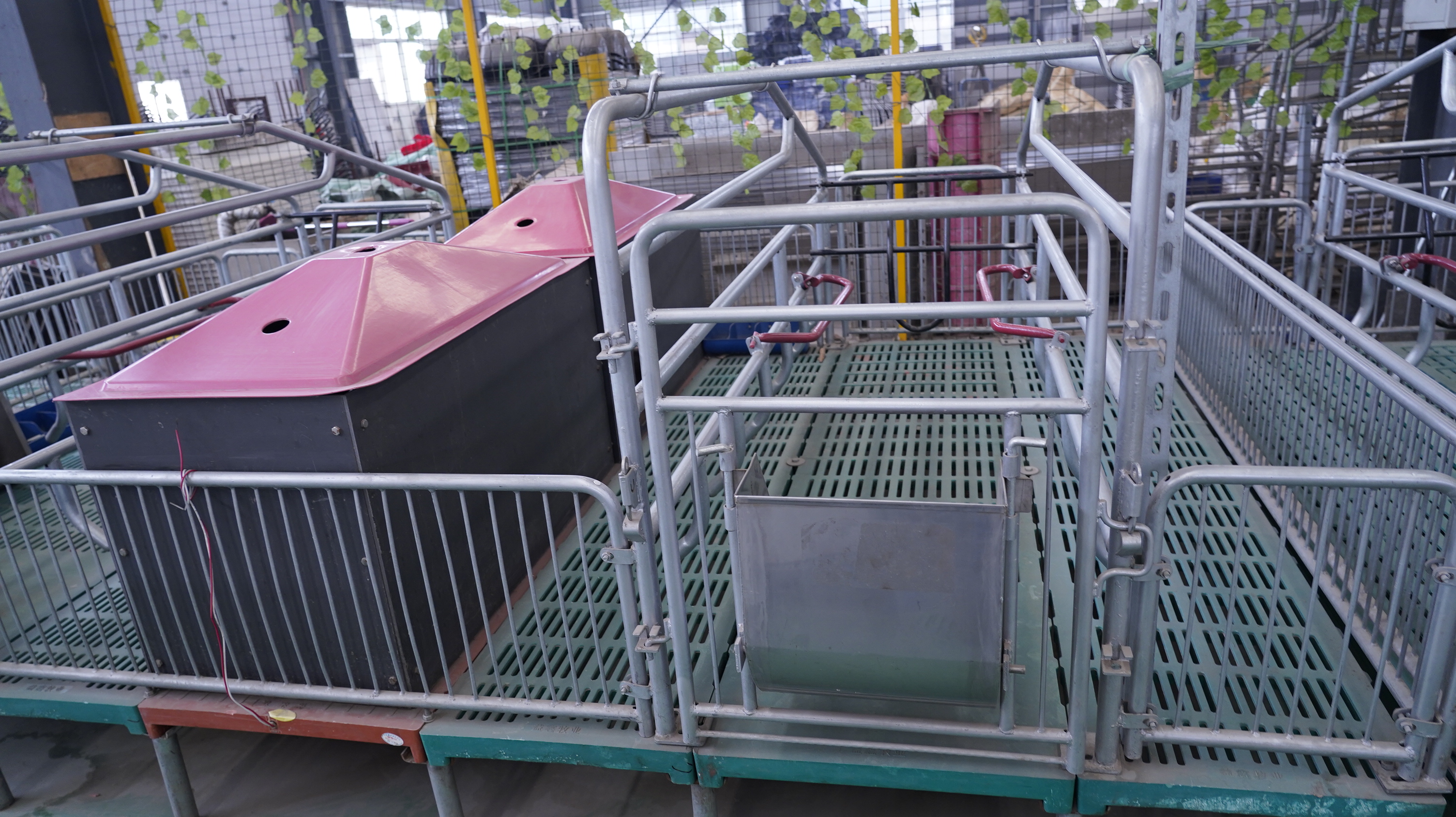 母豬產(chǎn)床使用保溫產(chǎn)品有何作用？