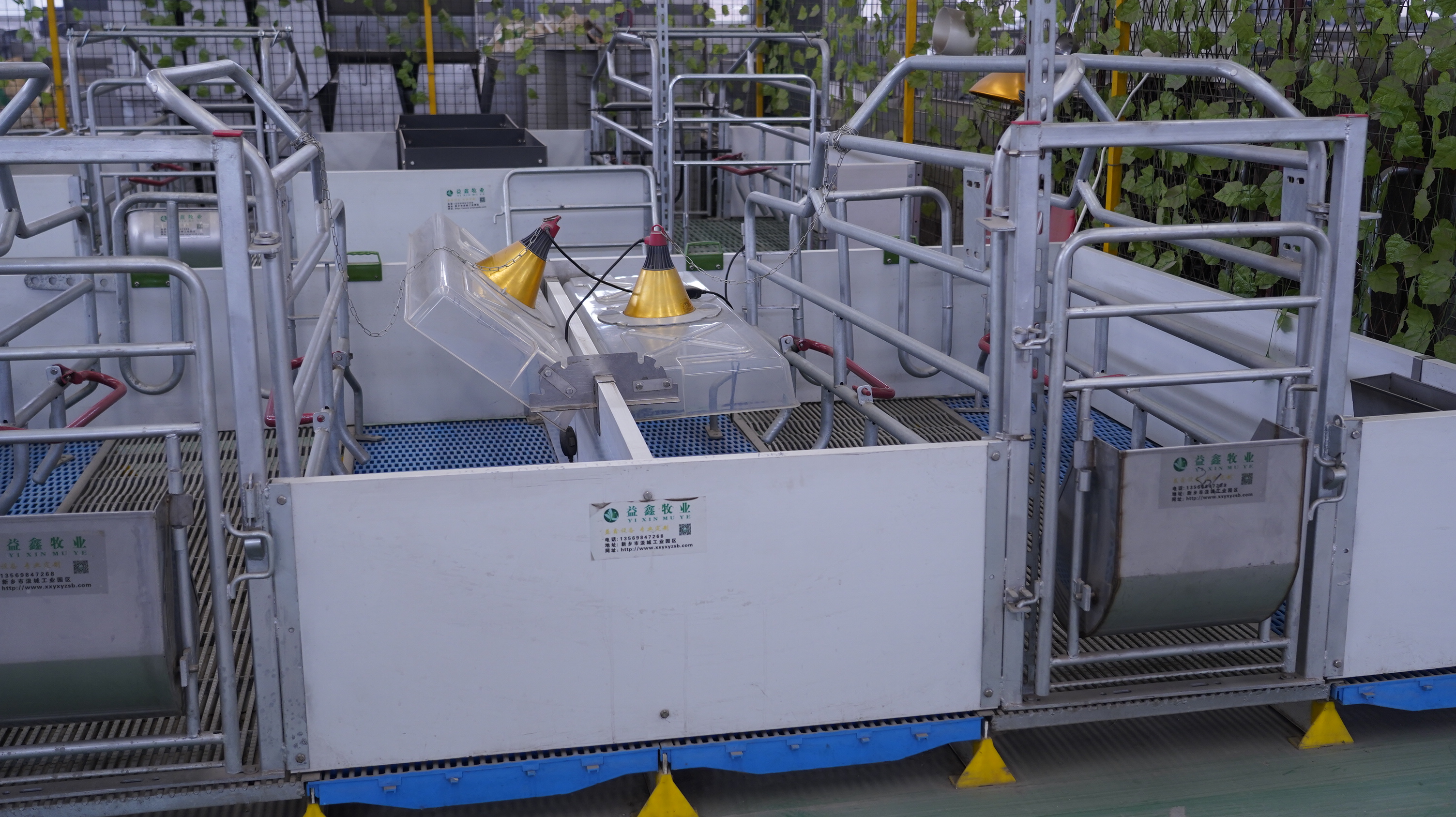 如何選擇合適的母豬產(chǎn)床？