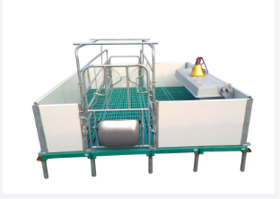 使用母豬產(chǎn)床，預(yù)防潮濕工作要做好